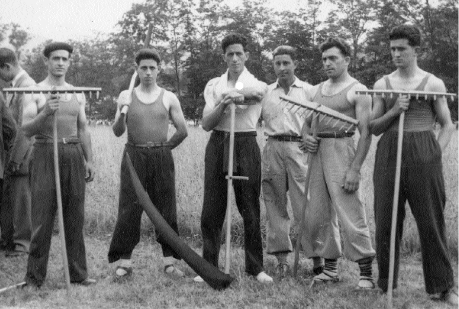 Foto antigua de caseros con guadaña y rastrillos